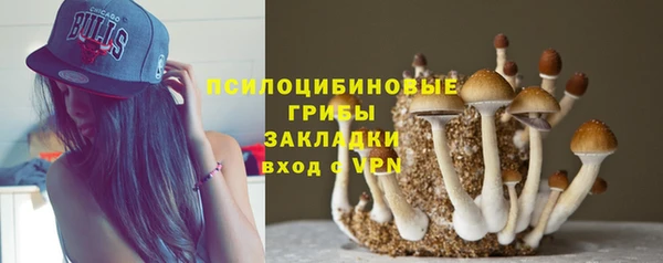 первитин Горняк