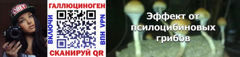 Псилоцибиновые грибы Psilocybine cubensis  Купить  Новый Уренгой 